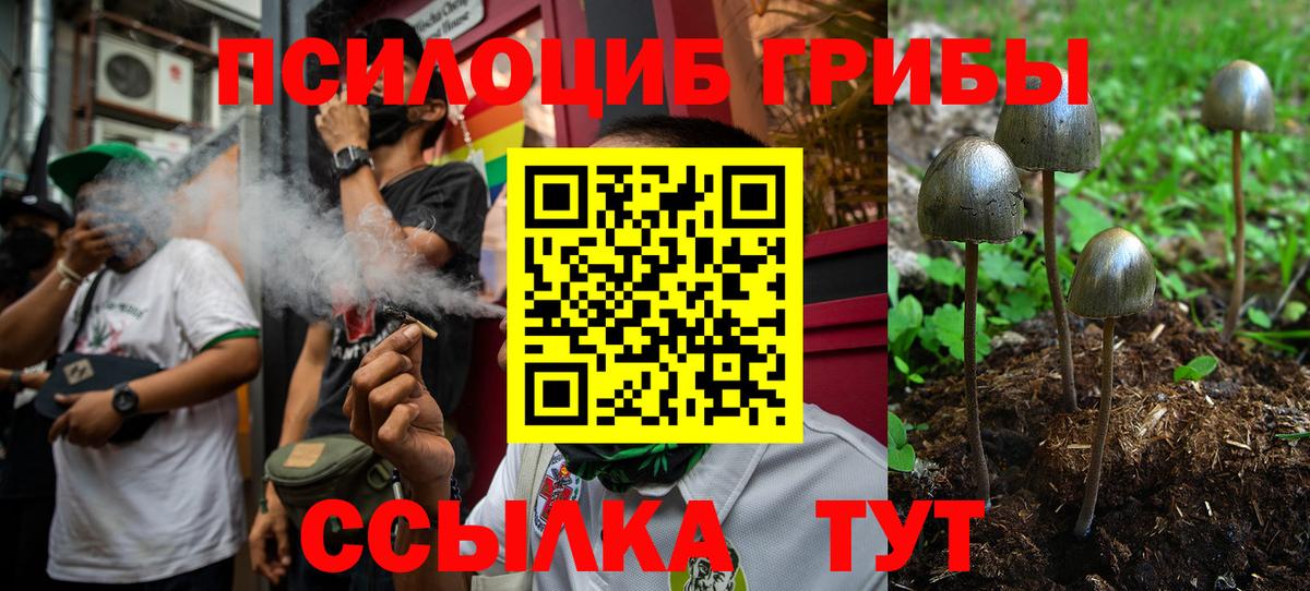 Псилоцибиновые грибы Psilocybine cubensis Углич