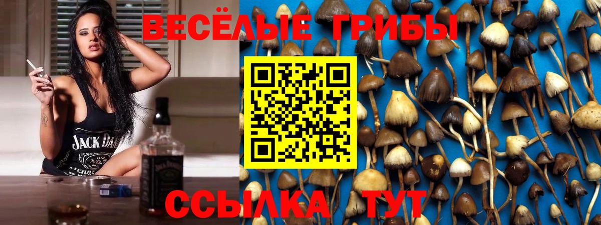 Углич  Псилоцибиновые грибы прущие грибы  цены наркотик  Вход с VPN 